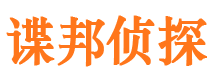 平安市场调查